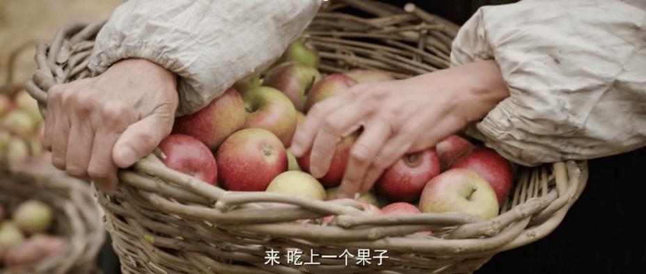 好评中国丨读懂“苹果故事”里的意味深长
