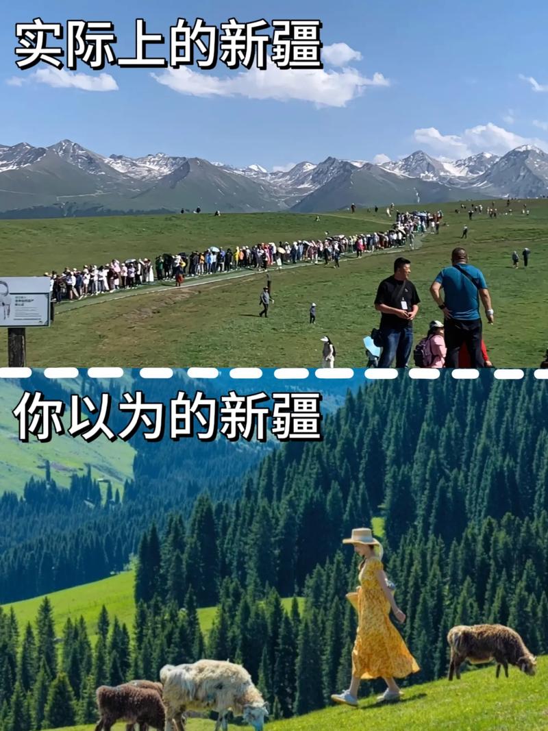 万人说新疆|驶向幸福
