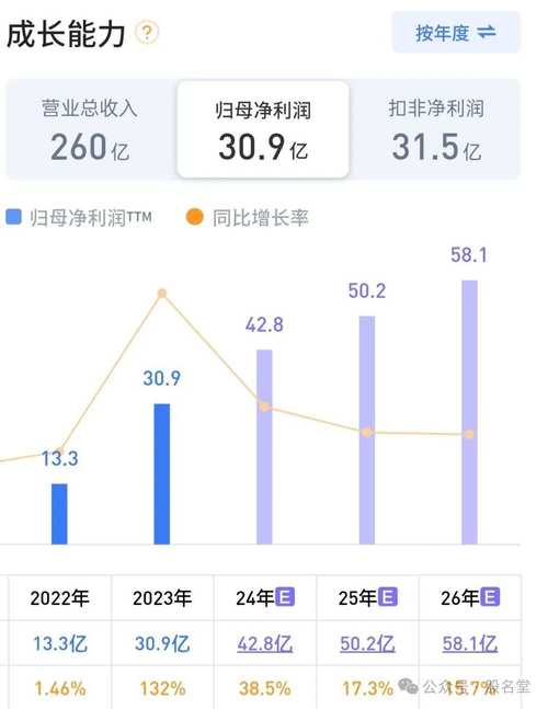 瑞安房地产2024年营收81.73亿元,租金收入同比增长9%
