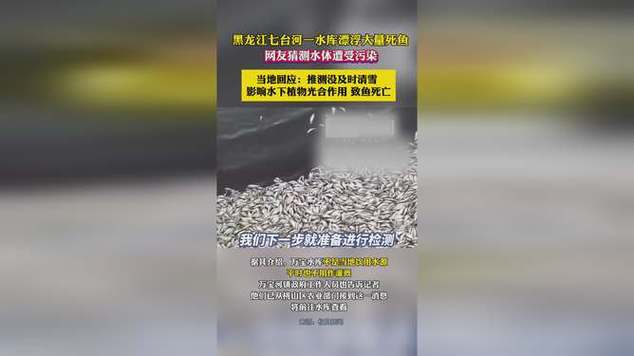 云南富源回应“岔河水库死鱼”事件: 初步研判与水体缺氧有关